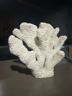 Coral Decoration