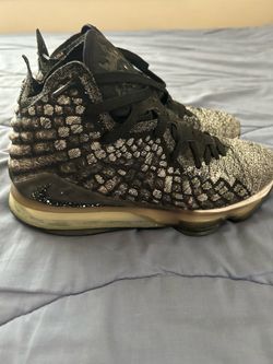 LEBRON 17s  size 8
