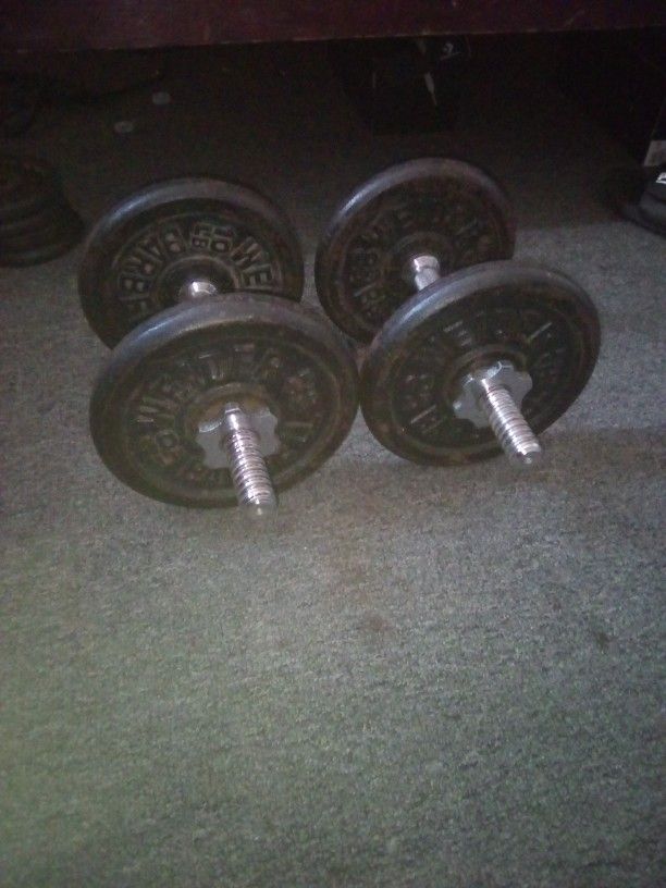 10 Pounds Standard Barbell Weights