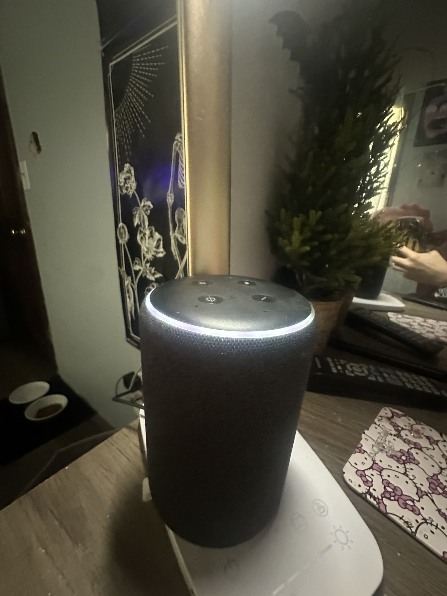 Alexa