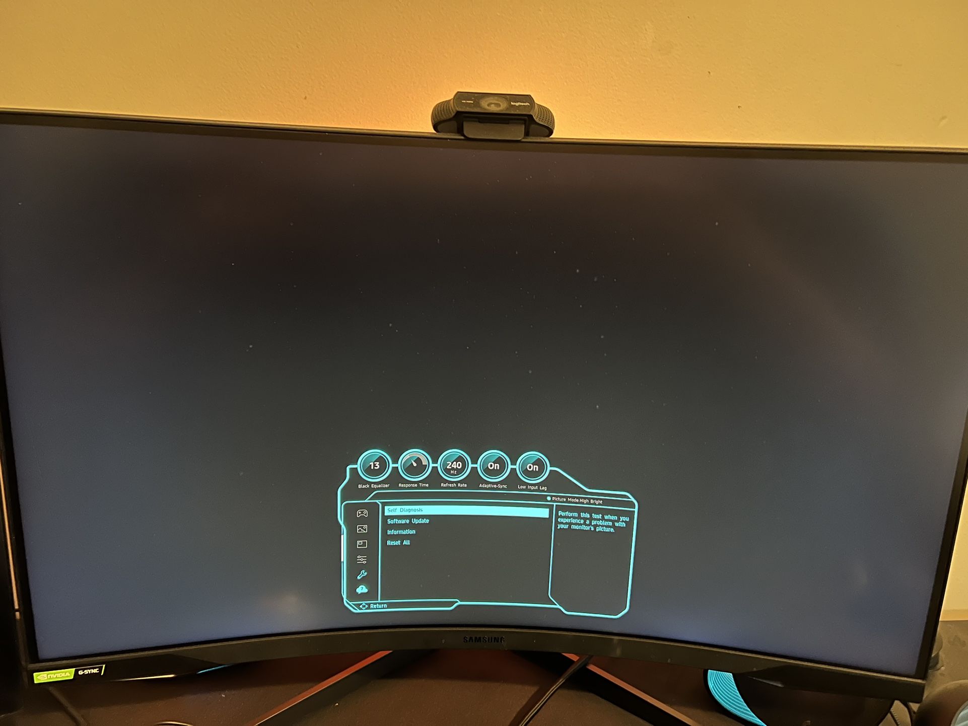 Gaming Monitor 