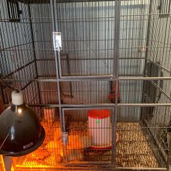 🤩2 Large Bird 🐦 🦜 Cages with Tray 🦜 🤩