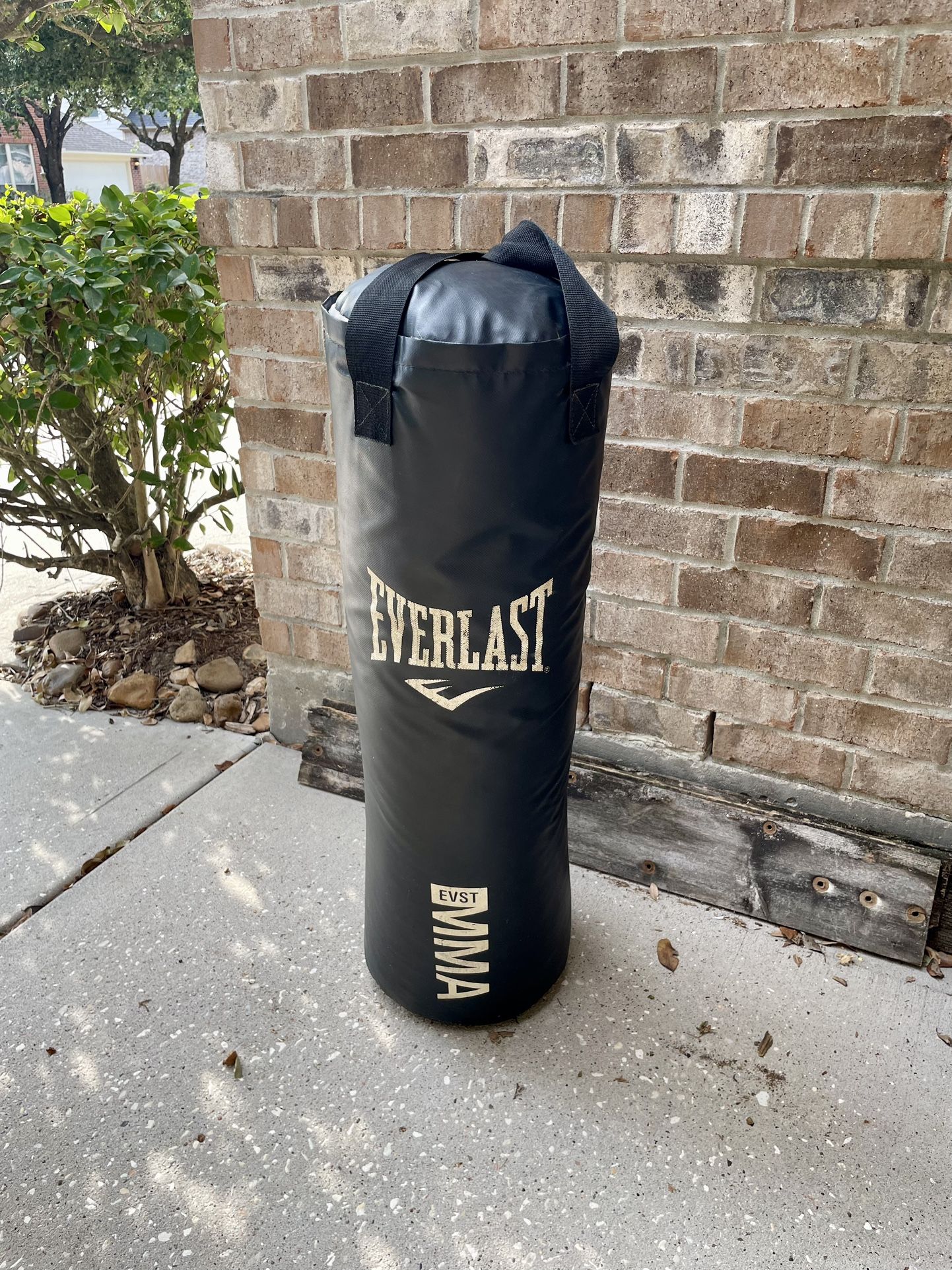 Everlast 70 Lb. Punching Bag