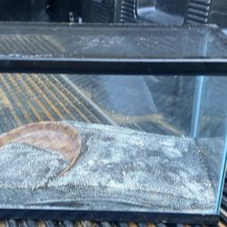 Pet Aquarium