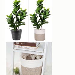 Planters Pack 2 Pieces