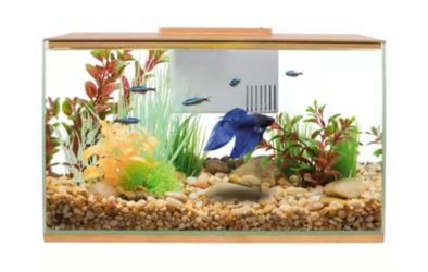 TopFin 3 Gallon Aquarium (2 Available)