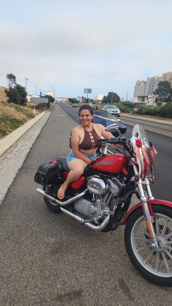 2005 Harley davidson Sportster