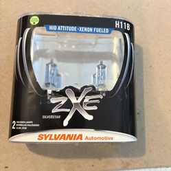 Halogen Lights