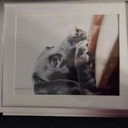 🐾 Framed Dog Wall Art – $40 Each (2 Available) 🐾