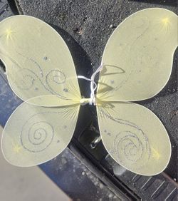 Light Green Butterfly Wings 