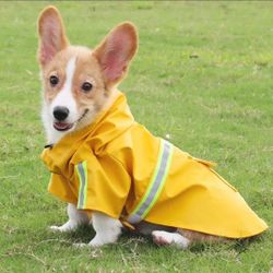 Raincoat For Dogs