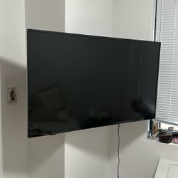 TV 44 Inch Wall Mount And Remote Included