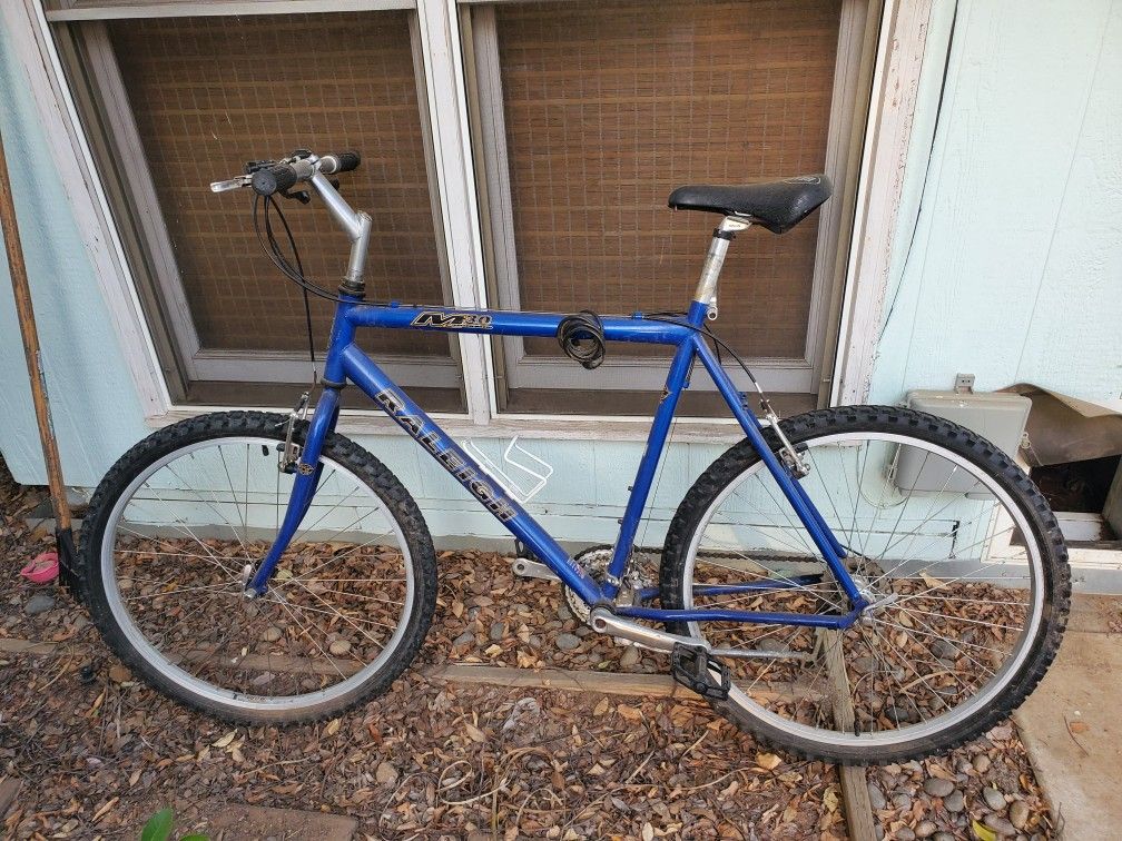 Raleigh M30 men's mountain bike