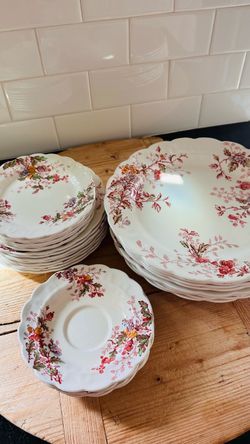 Beautiful Dinner plates