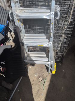 Gorilla 14'ladder