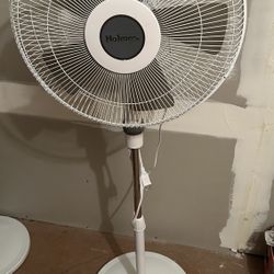 Fan for two