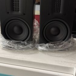 LS1 LINE SOURCE SPEAKER PICK UP ONLY