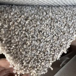 Grey /beige Carpet