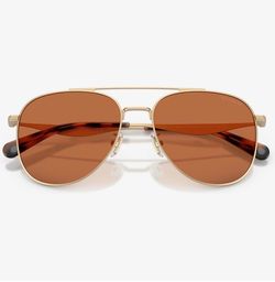 Coach mens Hc7190 Aviator Sunglasses [NEW; Color: Satin Light Gold/Amber Solid]