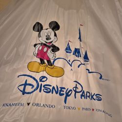 Disney Parks Rain Pancho. Clear With Hood. Disneyland DisneyWorld