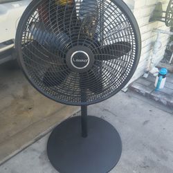 Brand New Fan , $20;