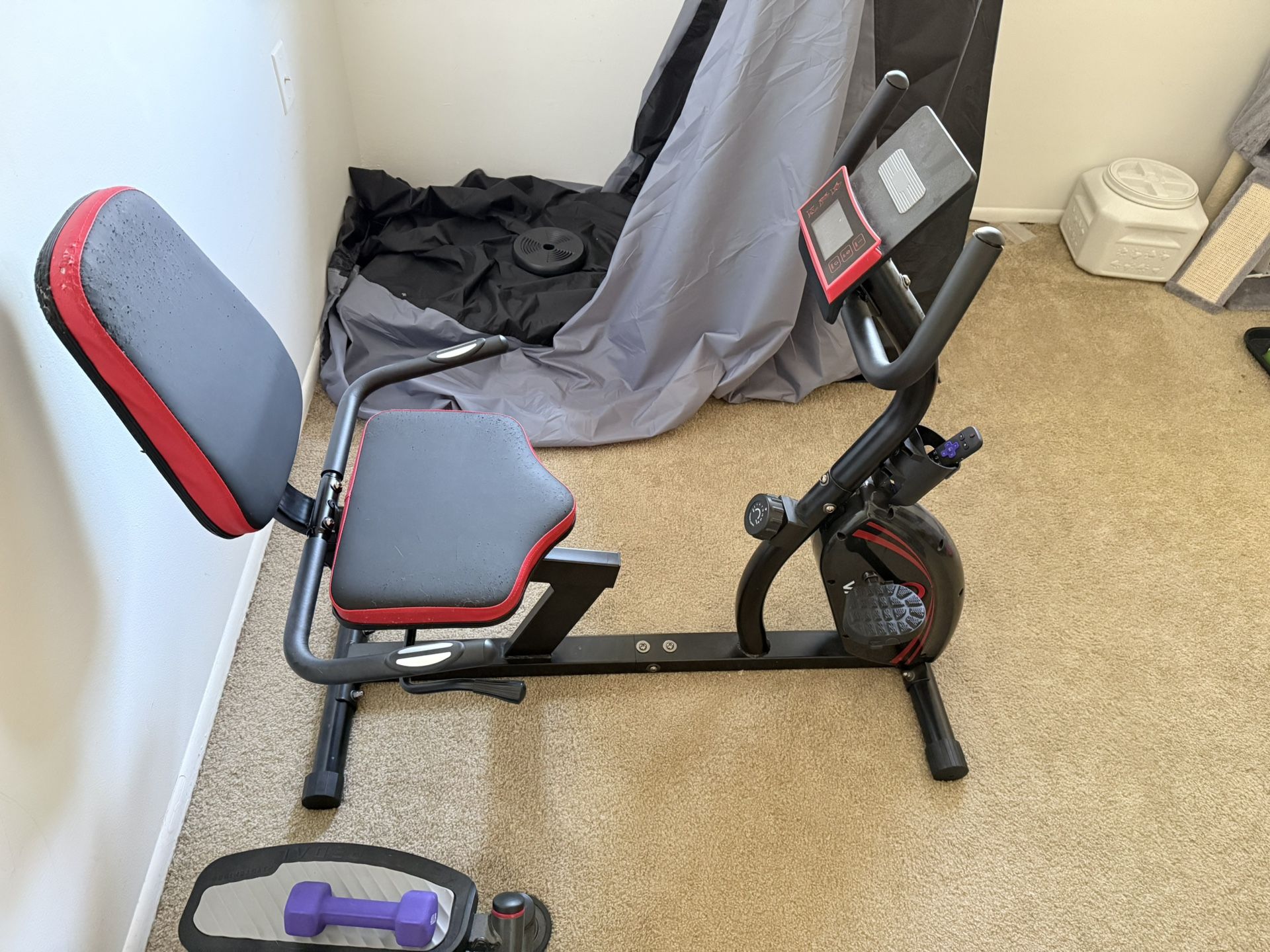 Recumbent Exercise Bike