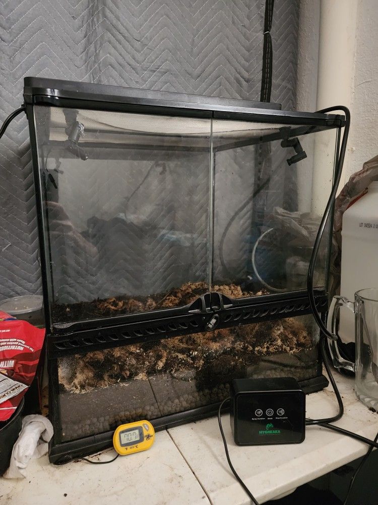 Terrarium