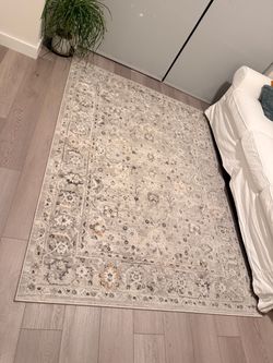 6x9 Area Rug - excellent condition