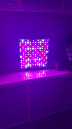 Mars Hydro Light