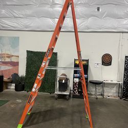 Louiseville 12ft Ladder