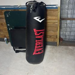 Used Everlast 75 Lb Punching Bag