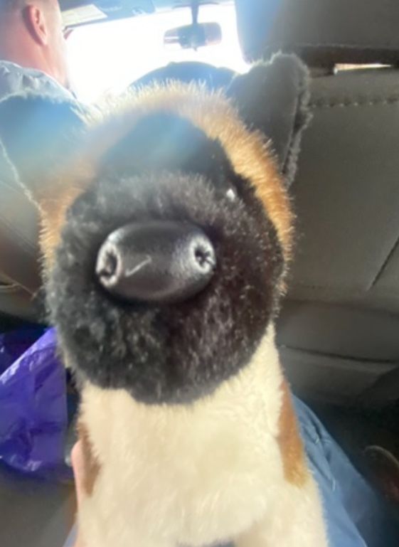 Akita Douglas Dog Stuffed Animal