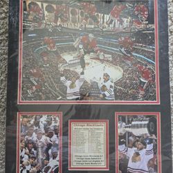 Blackhawks 2012-2013 Sport Print