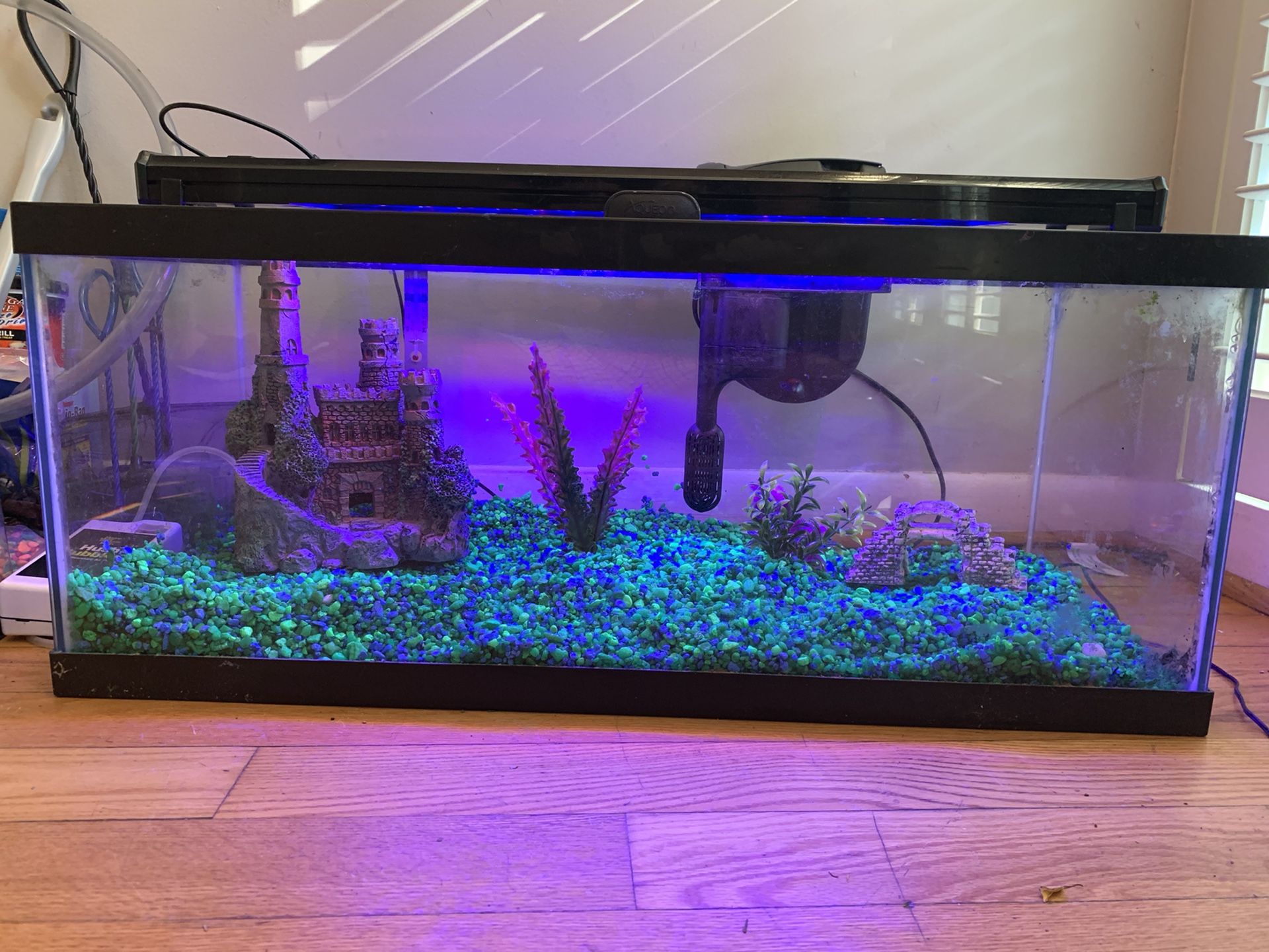 20 Gallon Aquarium with tons of accessories