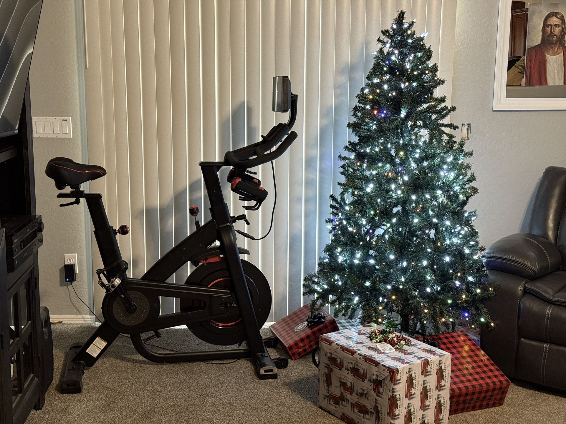 BOWFLEX BIKE- Amazing condition!!