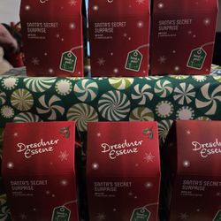 Santa Secret Surprise Bath Set 