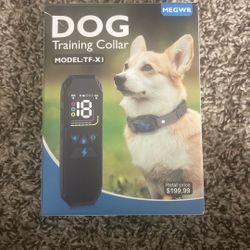 Dog Training Collar