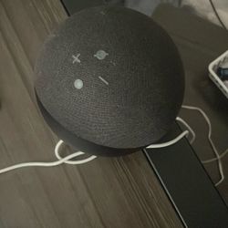 Amazon Alexia 