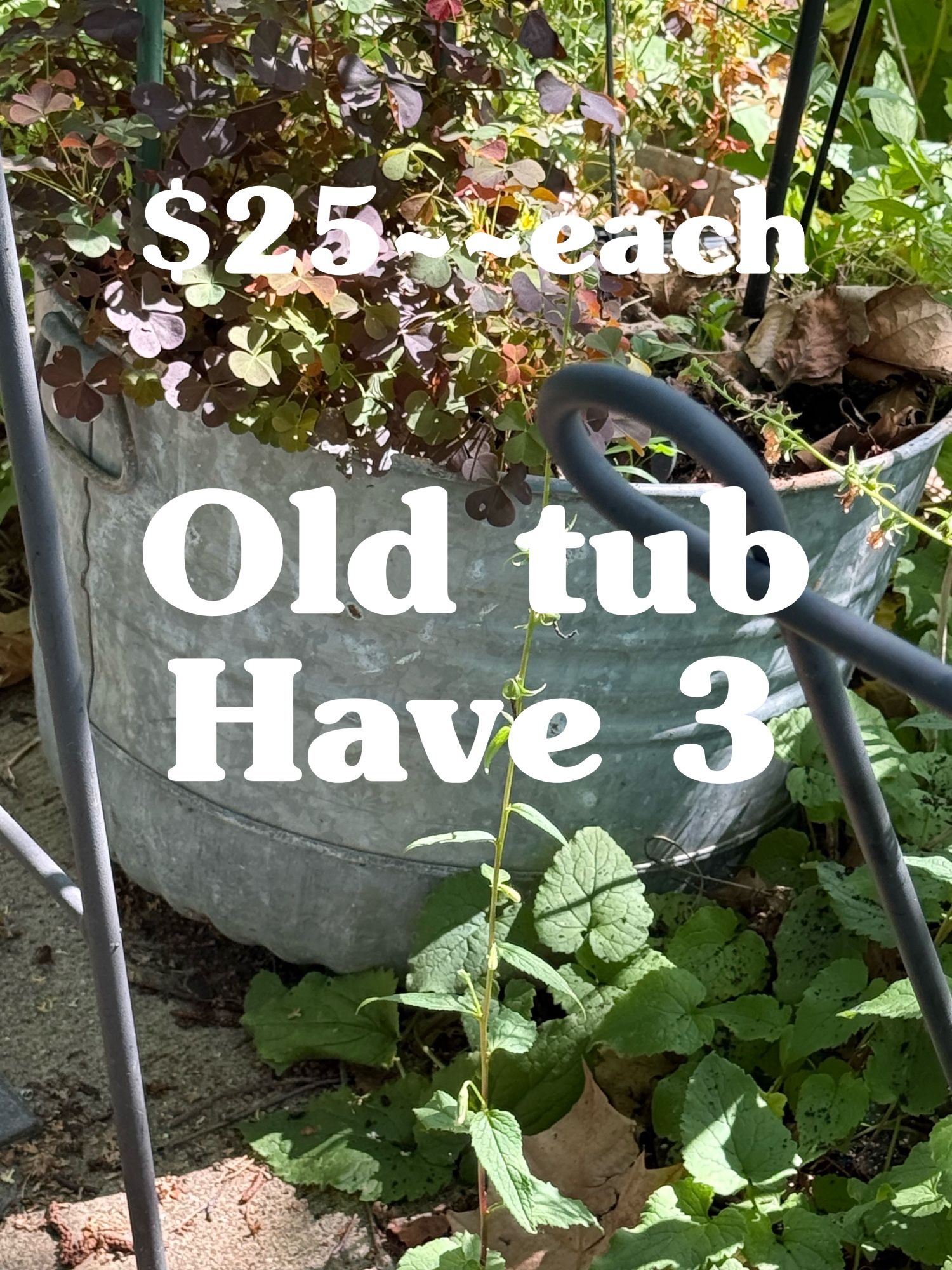 Tubs Have 3. $25 Each