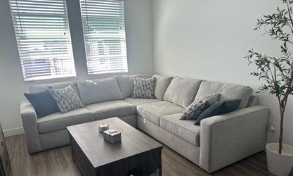 Living Spaces Couches