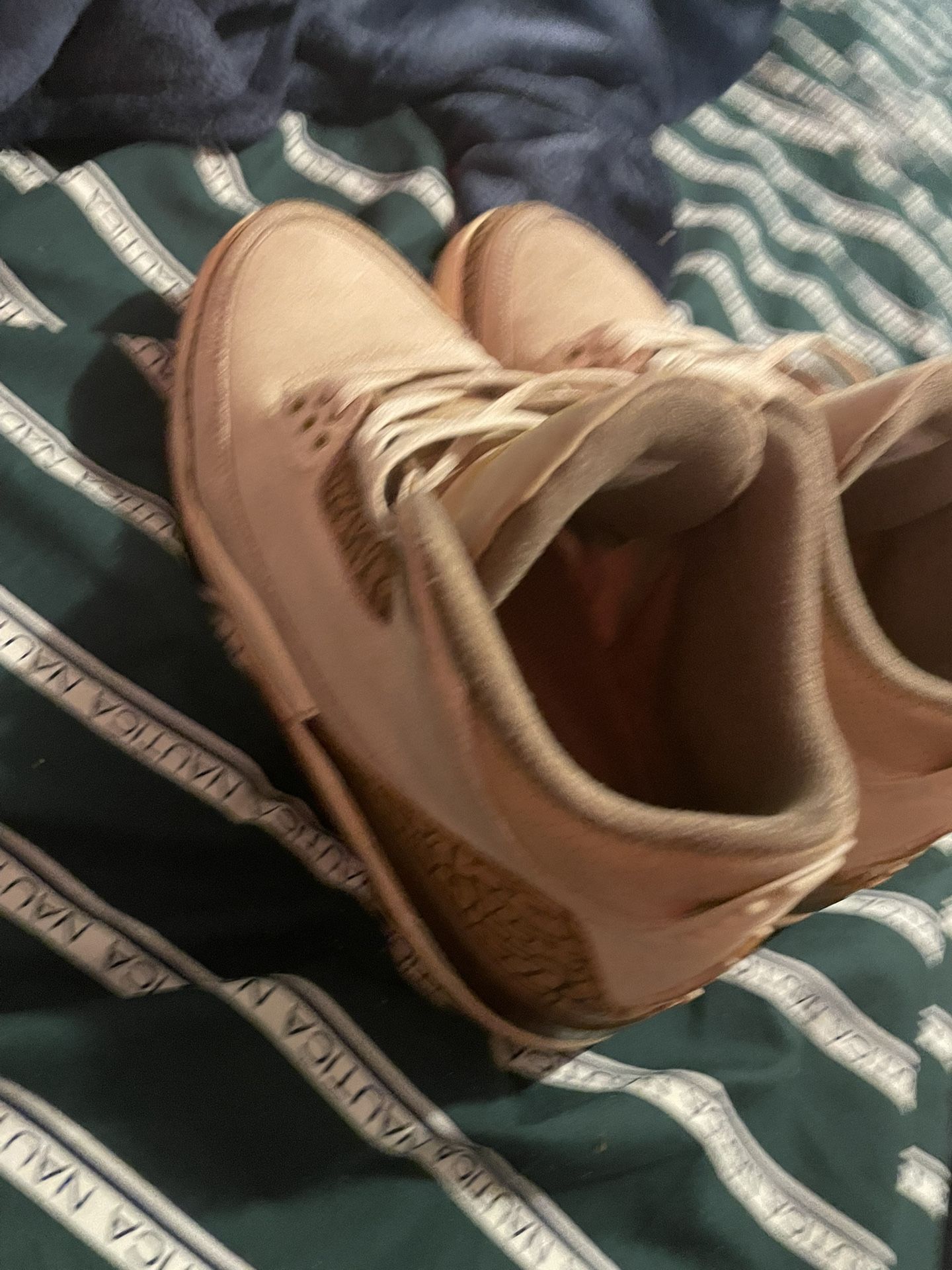 Palomino Jordan 3