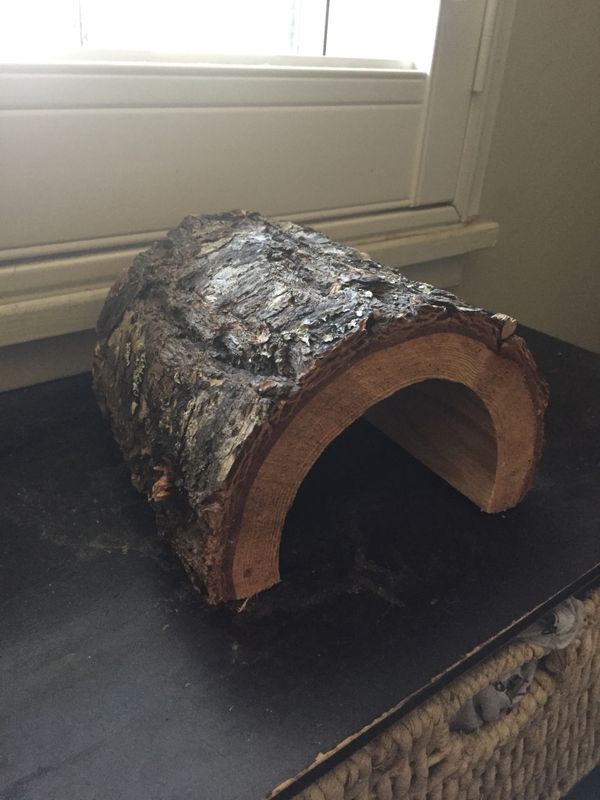 Reptile log hide for Sale in Stockton, CA OfferUp