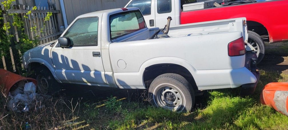 S10 Roller