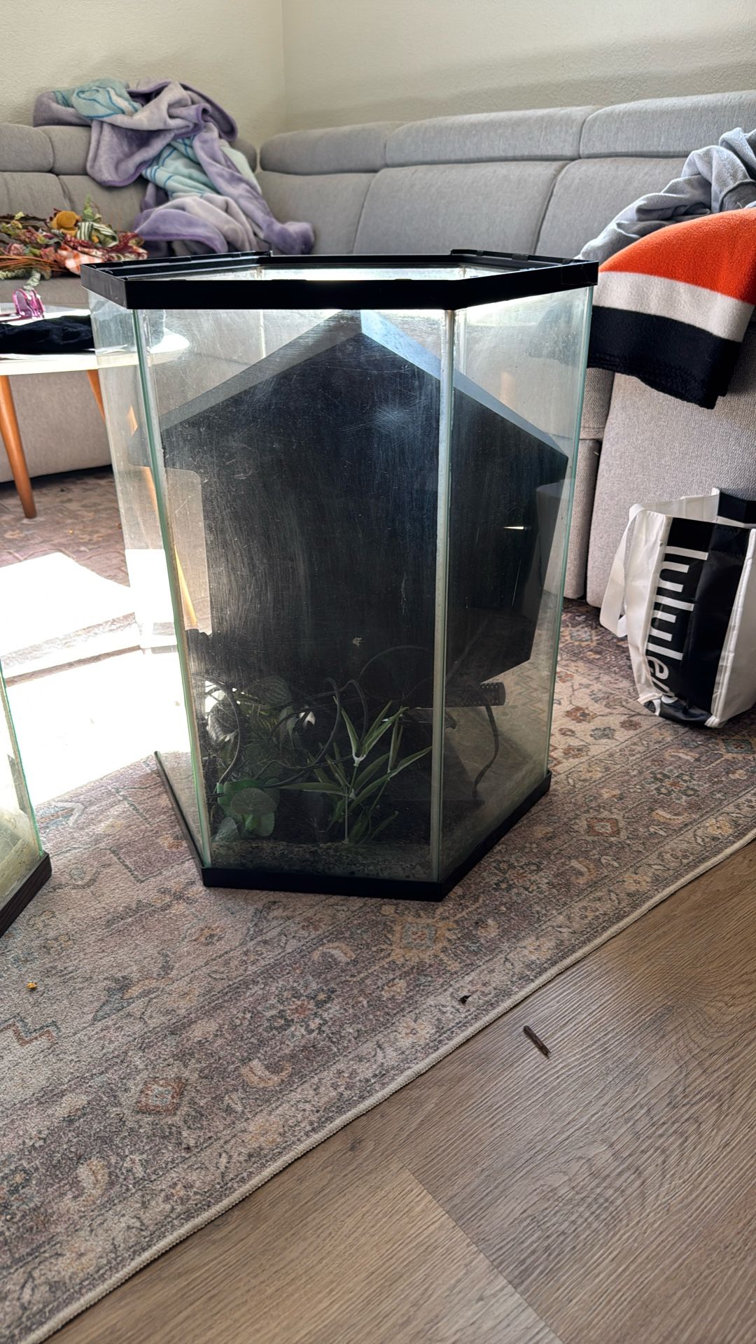 Fish Tanks For Sale