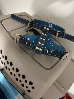 Dog crate and harness