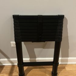 Telescoping Ladder
