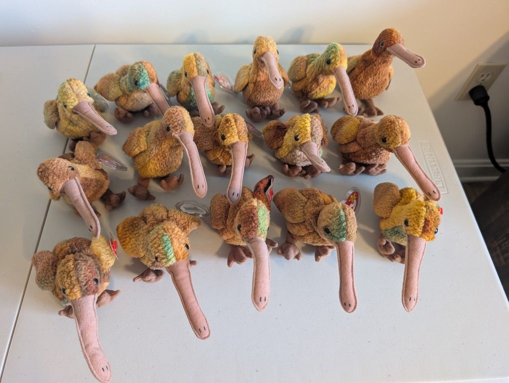 Ty Beanie Babies - Beak