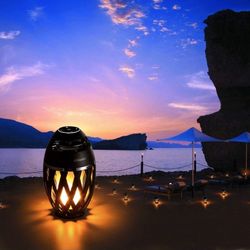  Led Flame Speaker