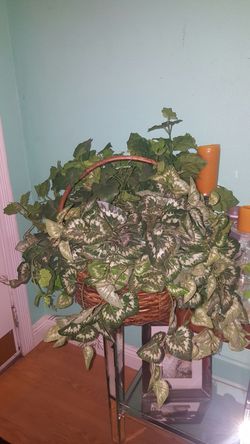 Fake plant..large size..great condition!