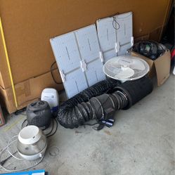 indoor growing set up 